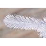 Новогодняя елка TRIUMPH TREE, Санкт-Петербург, 155 см, белая 72004
